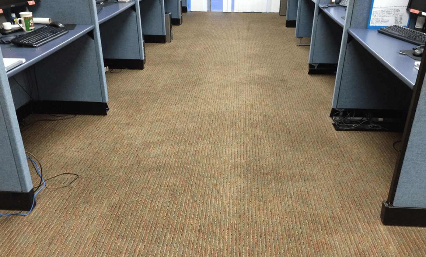 commercial carpet cleaning tmg cleaning services